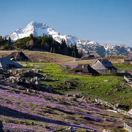 Hisa Pod Veliko Planino Tatil Evi *