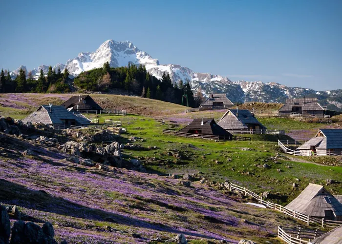Hisa Pod Veliko Planino Casa vacanze *